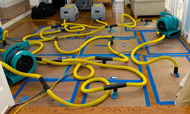 Professional Burst Pipe Water Damage technician working in Hanover, OH